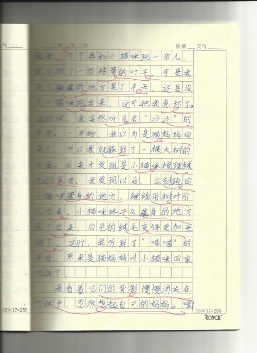 二级：TT060628