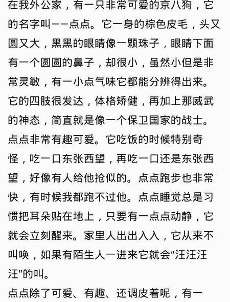 雨_450字