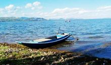 [2013暑期征文]暑假游泳记_800字