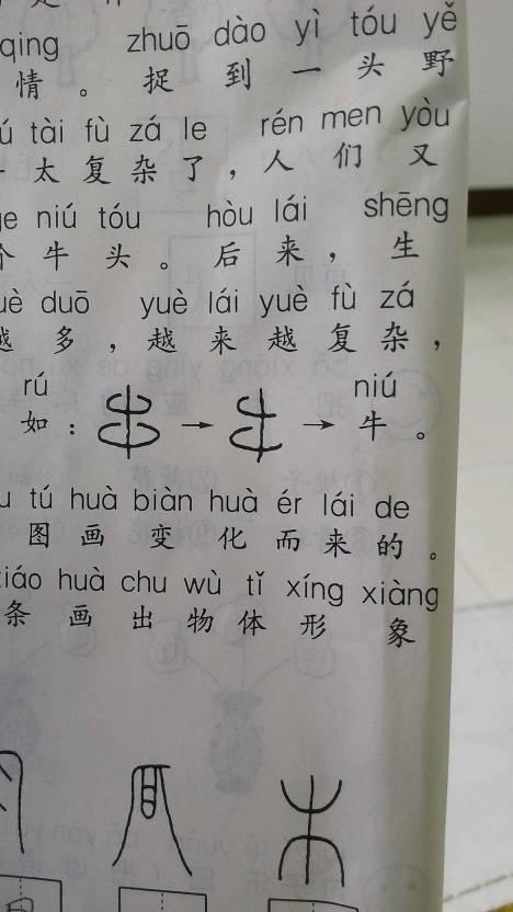 我的小手_150字