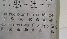 我的小手_150字