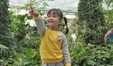 记一次秋游_350字