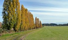 [2013暑期征文]走进充满爱的绿山墙农舍——读令人感动的《绿山墙的安妮》_2000字