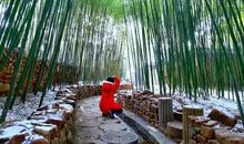 [2013暑期征文]庙会?竹海?石林_550字