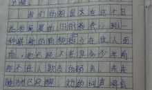 [2013暑期征文]坐火车回家_400字