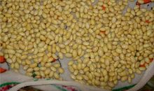 提水的女孩_100字