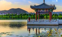 枫落，枫息_600字