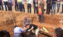 我们的世界_50字