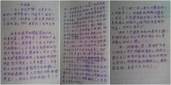 珍贵的照片_400字