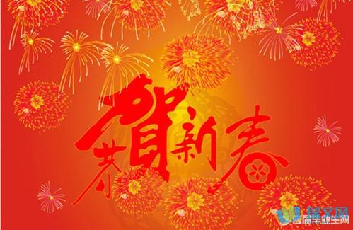 人们一直在夜晚播放，手里拿着烟花。人们欢呼，玩得开心。
