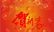 热闹的春节_300字