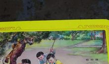 皮球掉进了树洞里_500字