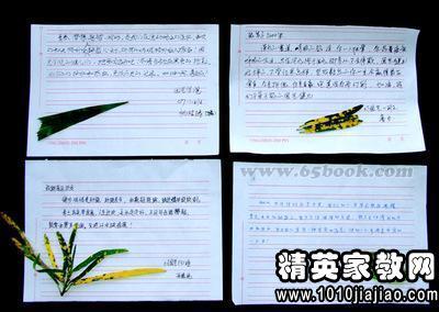 游戏_300字