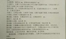 多一份爱心，世界多一份美丽_550字