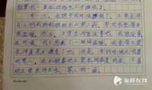 一次做家务的经历_350字