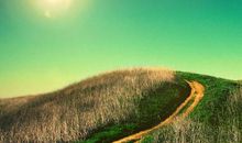 心中的希望_800字