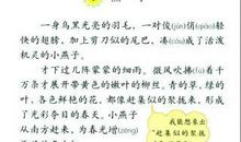 回顾我当小记者的经历_600字