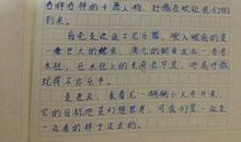 小商品交易会_250字