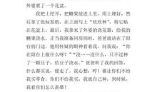 我的童年趣事_550字