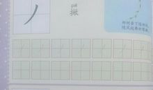 2010年中考语文复习之语言运用（一）汉字的认读与书写