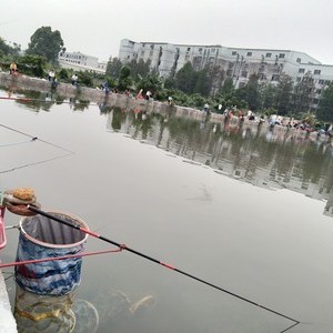 钓鱼_150字