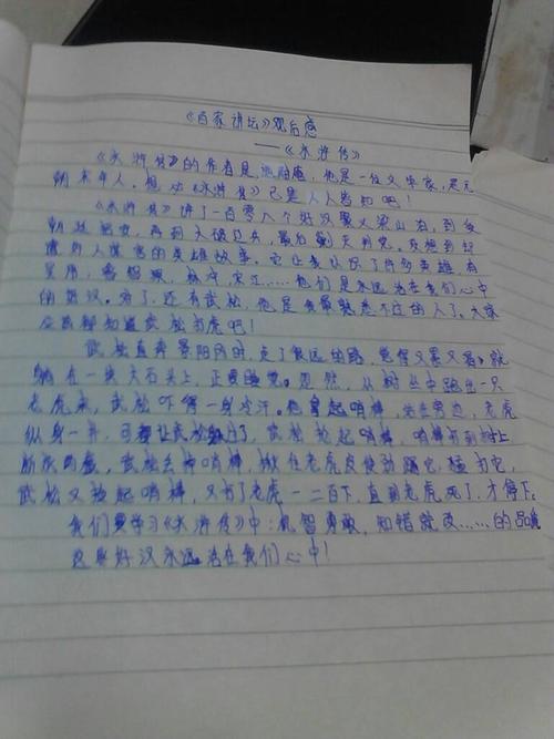 带宝宝_800字