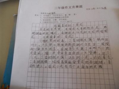 我爱我的论文2 _350字