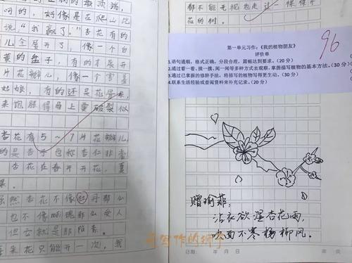 抓住隐藏并寻求_500字