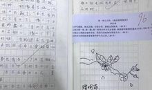 捉迷藏_500字