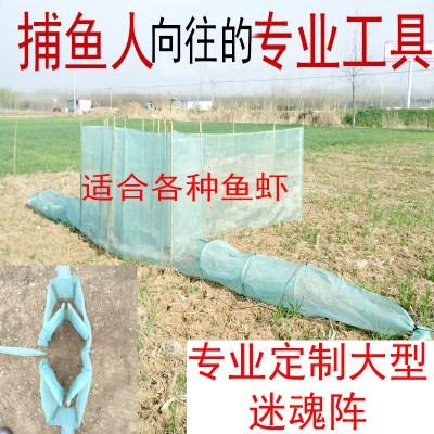 钓鱼虾_250字
