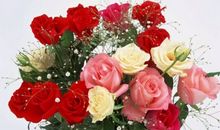 一束特别的花_200字