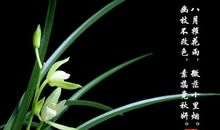 元曲 关汉卿[南吕·四块玉·别情]