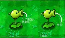 植物大战僵尸_350字