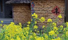 春天里谁都会遇上爱情_1200字