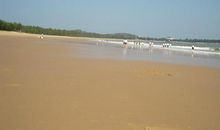 美丽的湄洲湾_400字