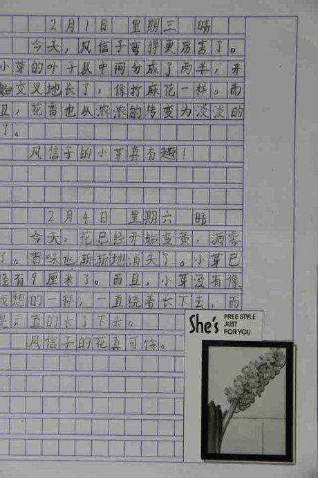 我的日记_3000字