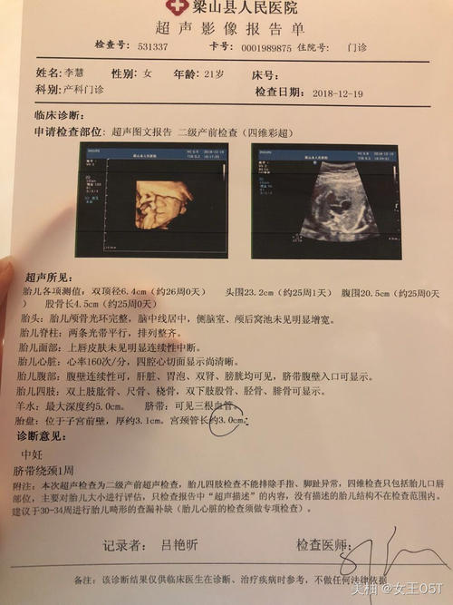 重申星星的明星_250字