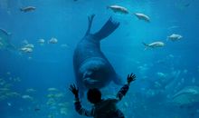 我们不配张口闭口说痛苦_500字