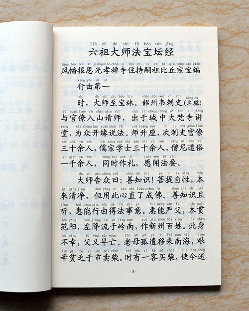 Hedney _800字