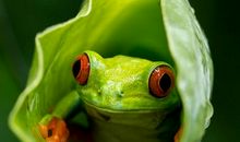 最美丽的瞬间_550字