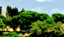 环保低头见_50字