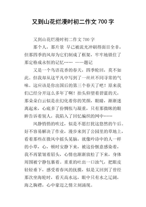 初级文章：城市数千盏灯_700字