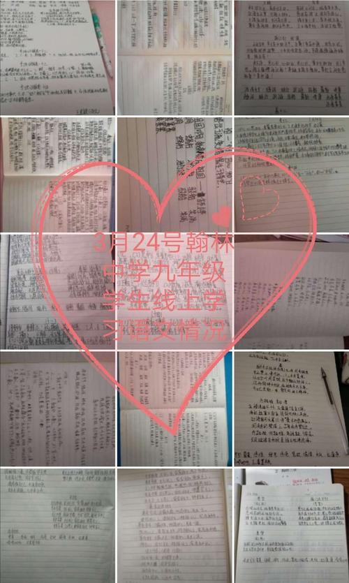 追求的梦想并没有停止_500字