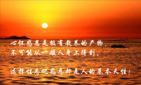 心脏概率_500字