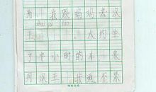 二年级作文：“偷”葡萄小组_400字