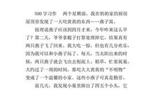 二年级叙事作文：幼稚_300字