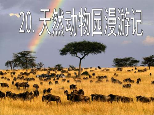二年级组成：万关漫游_600字