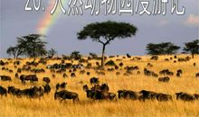 二年级作文：万绿园漫游记_600字