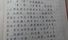 二年级叙事作文：一路“找人”_350字