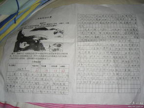 二年级叙事组成：蜜蜂驾驶_250字